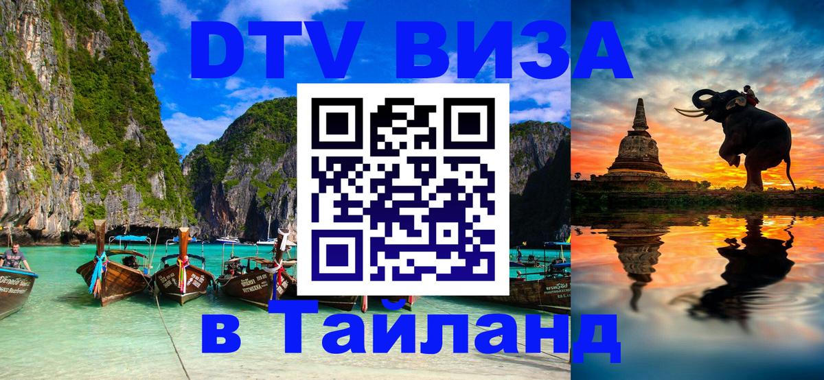 Оформление DTV визы под ключ: стоимость и тарифы, только загранпаспорт - Новошахтинск  03.10.2025 